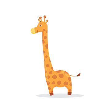 Cute cartoon trendy design little giraffe. African animal wildlife vector illustration icon. Vector illustration