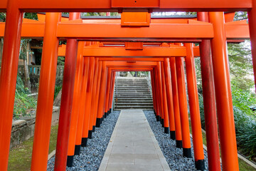 Row of wooden famous red Torii Gates in Suwa Shinto Shrine in Nagasaki, Japan.