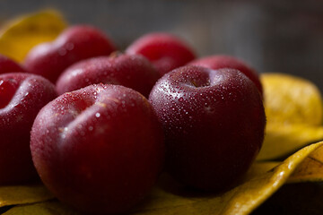 fresh indian red plum -water droplets 