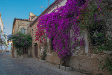 Palacio Caceres