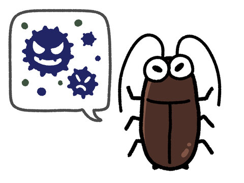 92 Best クロゴキブリ Images Stock Photos Vectors Adobe Stock