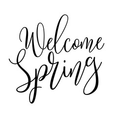 Welcome spring. Best cool spring quote. Modern calligraphy and hand lettering.