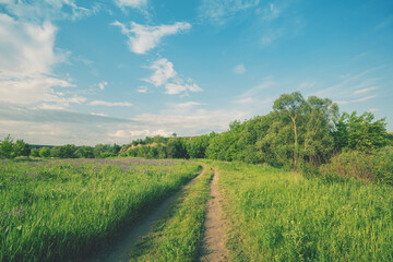 View of beautiful rural landscape on a sunny day in summer. Country dirt road in the field.