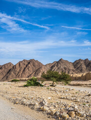 Hot winter in the desert in Israel