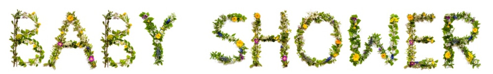 Flower, Branches And Blossom Letter Building English Word Baby Shower. White Isolated Background