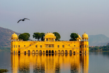 The view of Jal Mahal with a bird flying , Jaipur, Rajasthan, India