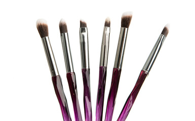 set of makeup brushes isolated