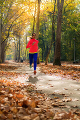 Fototapeta premium Woman Jogging. Park, Nature