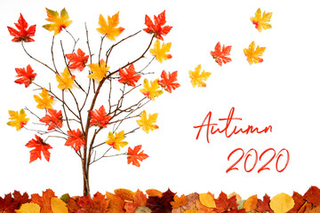 Branches Building Tree With Bright Colorful Leaf Decoration. Red And Yellow Leaves Flying Away Due To Wind. English Text Autumn 2020. White Background