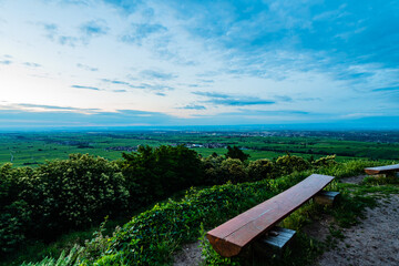 bench in the park