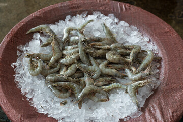 a fresh shrimp sold at the market.