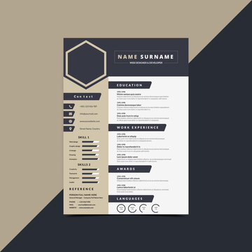 Professional Resume CV Curriculum Vitae Template For Interview