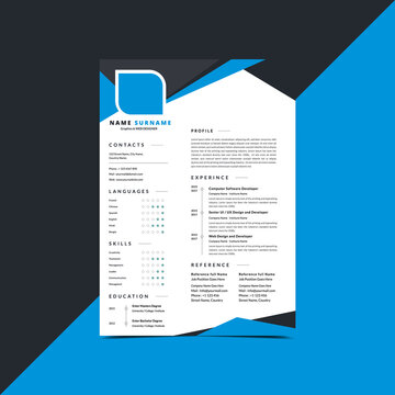 Professional Resume CV curriculum vitae Template For interview