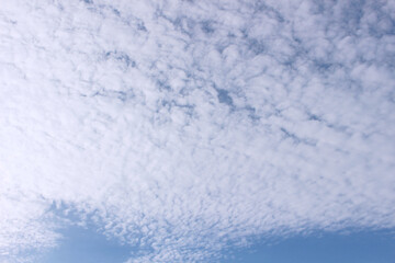 Fototapeta na wymiar 空_0016_空と鱗雲