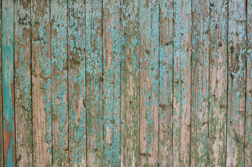 Fototapeta na wymiar turquoise wooden background with shabby paint for text writing 