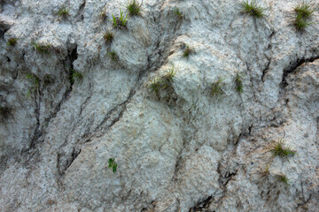 Dried clay with cracks in the ground