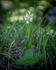 Montagne del Gran Sasso a primavera