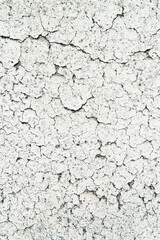 白い壁の塗装　剥がれ