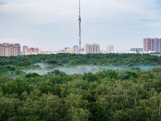 city park with evening fog and residential district in Moscow on horizon after summer rain
