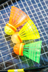 Speed Badminton
