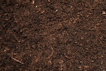 Texture of fertile soil as background
