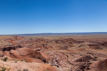 paisaje desértico de arizona