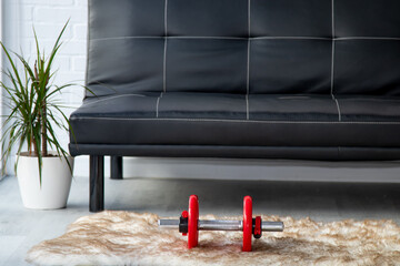 dumbbells in the living room at home