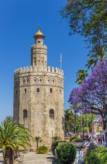 Fototapeta na wymiar Golden tower at the riverbank park in Sevilla, Spain