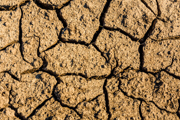 Background of the cracked dry barren soil. Global warming concept