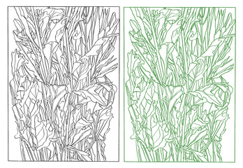 Fototapeta na wymiar Ink Drawing illustration of aster flowers with leaves