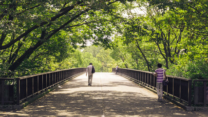 People walking on a bridge with trees 