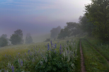 Morgentlicher Frühnebel im Thüringer Wald nahe Schmalkalden