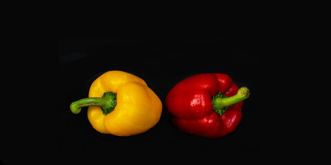Panorama von frischen Paprika bunt auf schwarz mit Textfreifeld