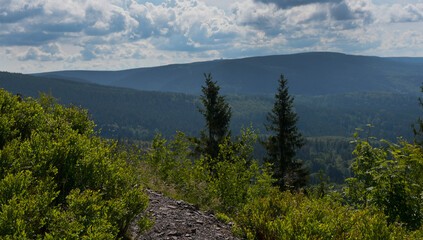 Gipel des Ruppberg oberhalb von Zella Mehlis im Th&uuml;ringer Wald