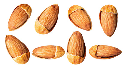 Almond nuts Mixed Bark piece on white isolated with clipping path