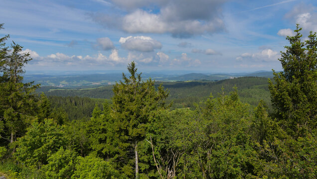 Gipel des Ruppberg oberhalb von Zella Mehlis im Thüringer Wald