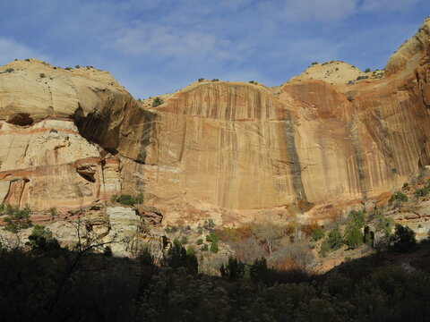 a pictograph panel on a canyon wall next to the trail to the Lower Calf Creek Falls in the Grand Staircase-Escalante National Monument in the Garfield County in Utah in the month of November, USA