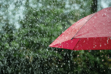 Rain, close up of umbrella in the rain with copy space