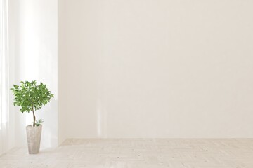 White empty room with green home plant. Scandinavian interior design. 3D illustration