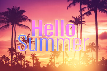 Fototapeta premium Hello summer words on tropical palm tree background. Summer vacation and travel holiday concept.