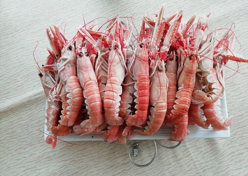 fresh shrimp on the market