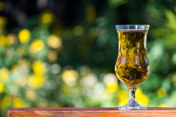 A glass of beer.