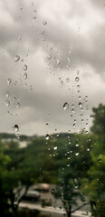 raindrops on the window