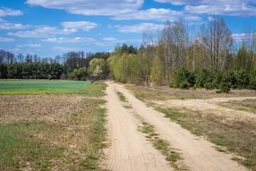Fototapeta na wymiar Unpaved road among fields and meadows in Wegrow County located in Mazowsze region of Poland