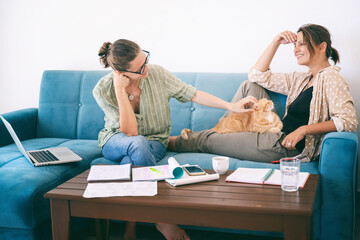 Fototapeta premium Two young woman friends sitting on sofa at home working online, holding laptop. With cute red cat