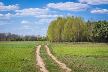 Unpaved road among fields and meadows in Wegrow County located in Mazowsze region of Poland