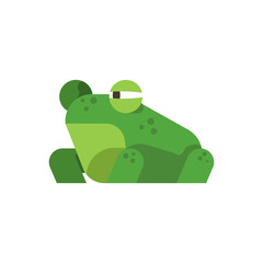 Flat design Frog vector illustration. Animal vector, Frog icon, isolated on white background