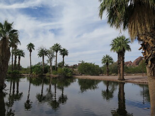 Fototapeta na wymiar a lake in the Papago Park close to Phoenix in Arizona in the month of October, USA