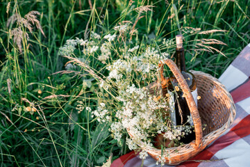 outdoor picnic on the grass with basket