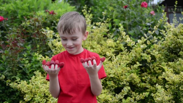 Cute boy eating fresh raspberries. Happy child having fun in the garden. Kid hands with raspberries on fingers. Boy putted raspberries on fingers.